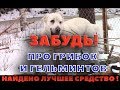 Самое простое средство от грибка на ногах и гельминтов - ветпрепаратами!