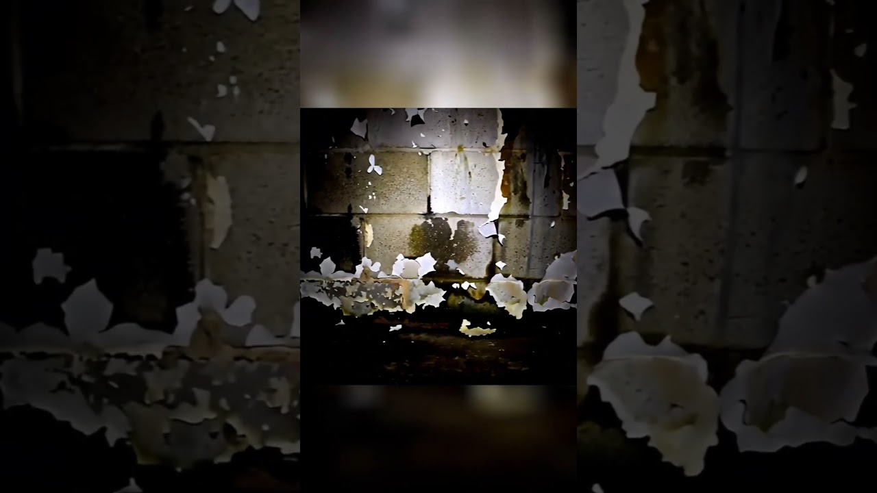 Montgeron: Traitement des infiltrations d'eau en sous par le cuvelage et le drainage 