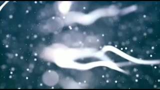 Blank Latest 2017 Ncm Release No Copy Rights