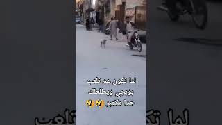 يعني ده اتصدم 😂#shorts #tiktok #كوميديا