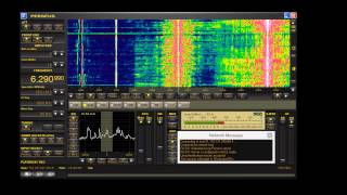 Radio Python 6291khz