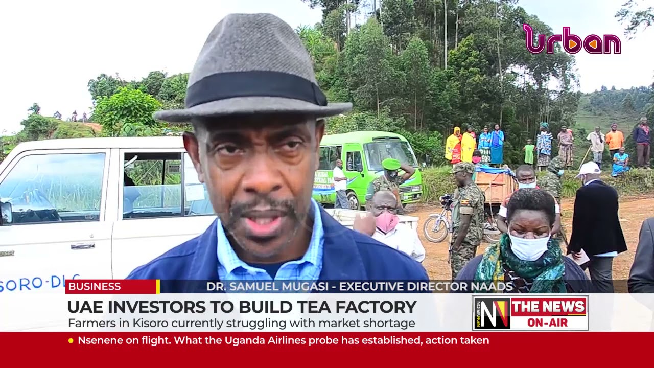 UAE investors to build tea factory