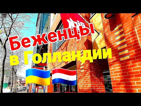 Как живут украинские беженцы в Нидерландах 🇺🇦🇳🇱 Цены на жилье и продукты!