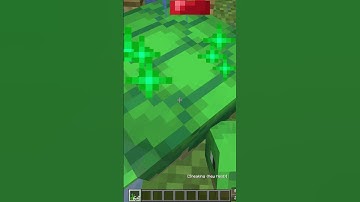 How to make turtle helmet