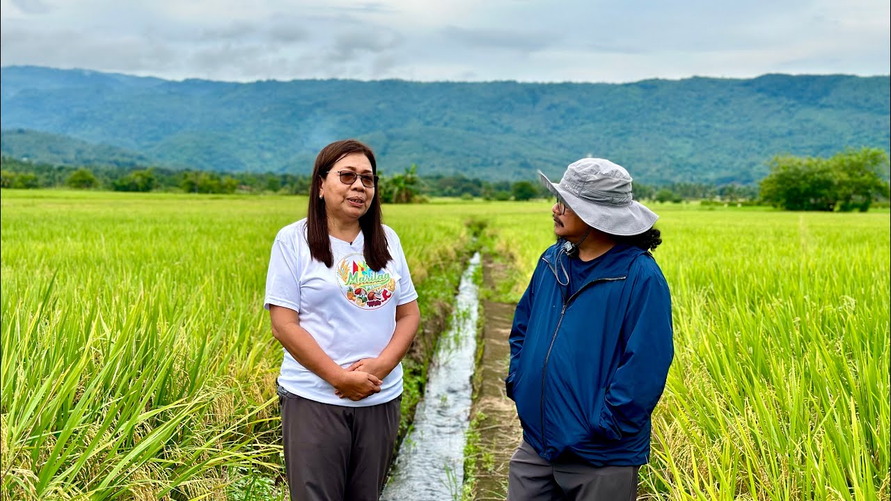 Madaming Nagiging Milyonaryo sa Rice Seed Production!