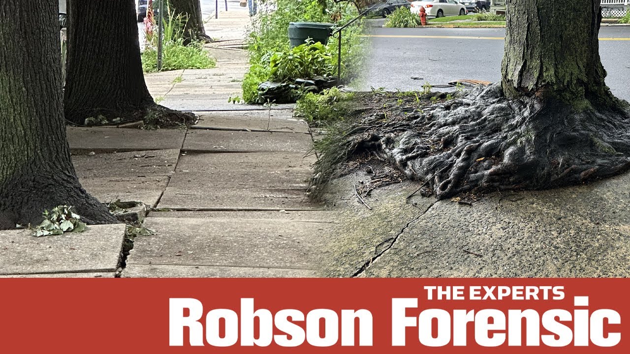 Expert Webinar: Sidewalk Heaving