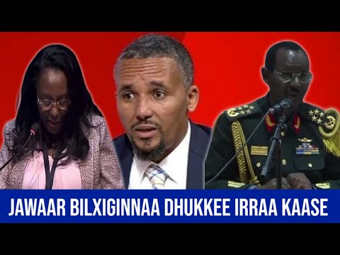 Jawaar Biltsiginnaa Dhukkee Irraa Kaasee Biraanuu Juulaatii Fi Adaanichi Abeebee Maaltu Mudate