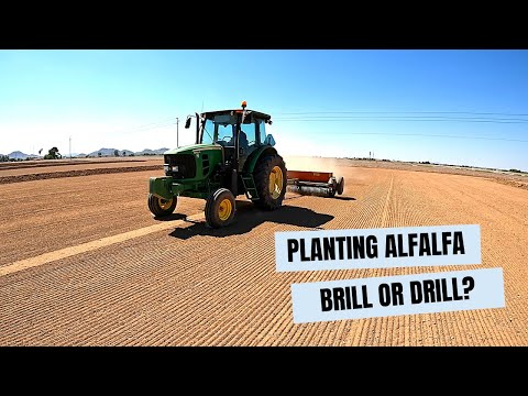 Video: Planting Alfalfa: How To Grow Alfalfa