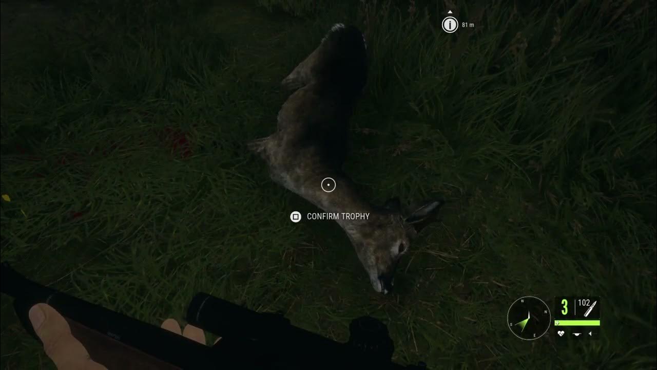 The Hunter Call Of The Wild Roe Deer Hirschfelden Hunting Reserve 50+ yards out YouTube