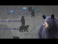 Tracking black bear sightings around nashville tn