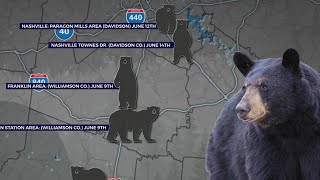 Tracking black bear sightings around Nashville, TN