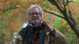 Behind The Lens: Autumn Trees -  Blenheim Palace