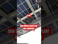 How Much Power My Solar System Made Today 4 FEB  #solarpanel #renewable