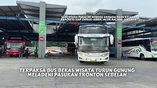 PO HARYANTO BEKAS WISATA SIAP TEMPUR OBRAK-ABRIK JALUR MALANG-JAKARTA