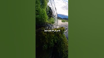 على جابر ما تيسر من سورة الشعراء #علي_جابر #سورة_الشعراء #اكسبلور #تلاوة_هادئة