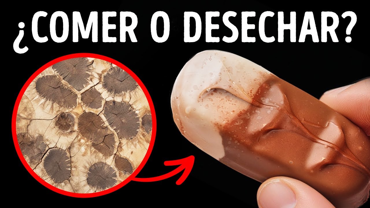 200 Datos Interesantes para Alimentar tu Cerebro