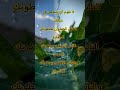نصيحة للعقول الراقية لا تلوم احد نصيحة للعقول الراقية لا تلوم احد
