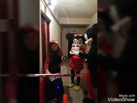 მიკი და მინი მაუსები გამოძახებით