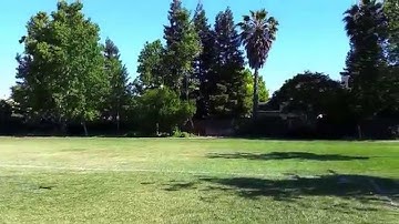 [Modifying quadcopter firmware] ACA - AI guided - Trial5(Tree crash)May 19th