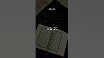 إن الحسنات يذهبن السيئات #ماهرالمعيقلي #سورة_هود #قرآن #قرآن_كريم