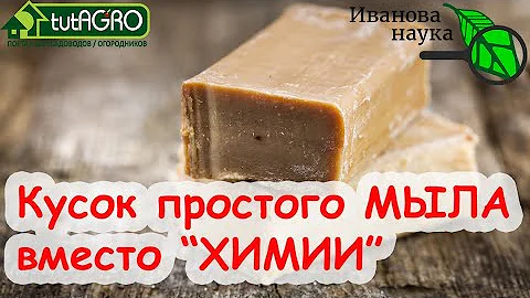 ПРОСТОЙ КУСОК МЫЛА ВМЕСТО ДОРОГОЙ ХИМИИ. Как использовать мыло в саду и огороде. Щадящие методы.