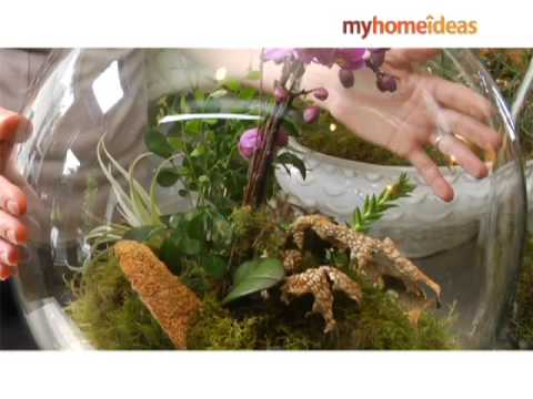 Make Your Own Terrarium