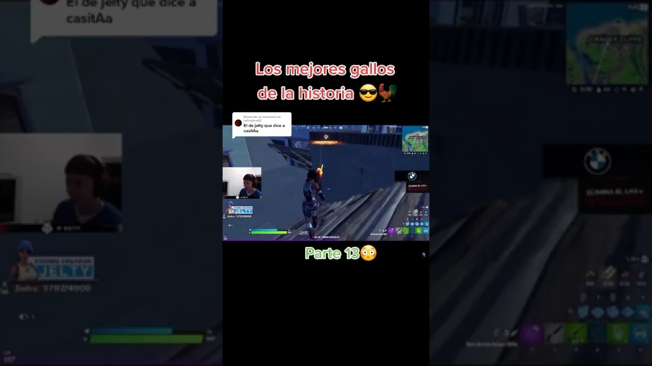 Los Mejores Gallos de Jelty