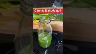 Cần tây là thuốc quý tặng liệu trình 14 ngày ai cần nhắn em #emmaphamkitchen #food #juice