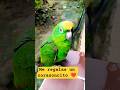 me regalas un corazoncito #mascotas #yosoydelos7mil #perros