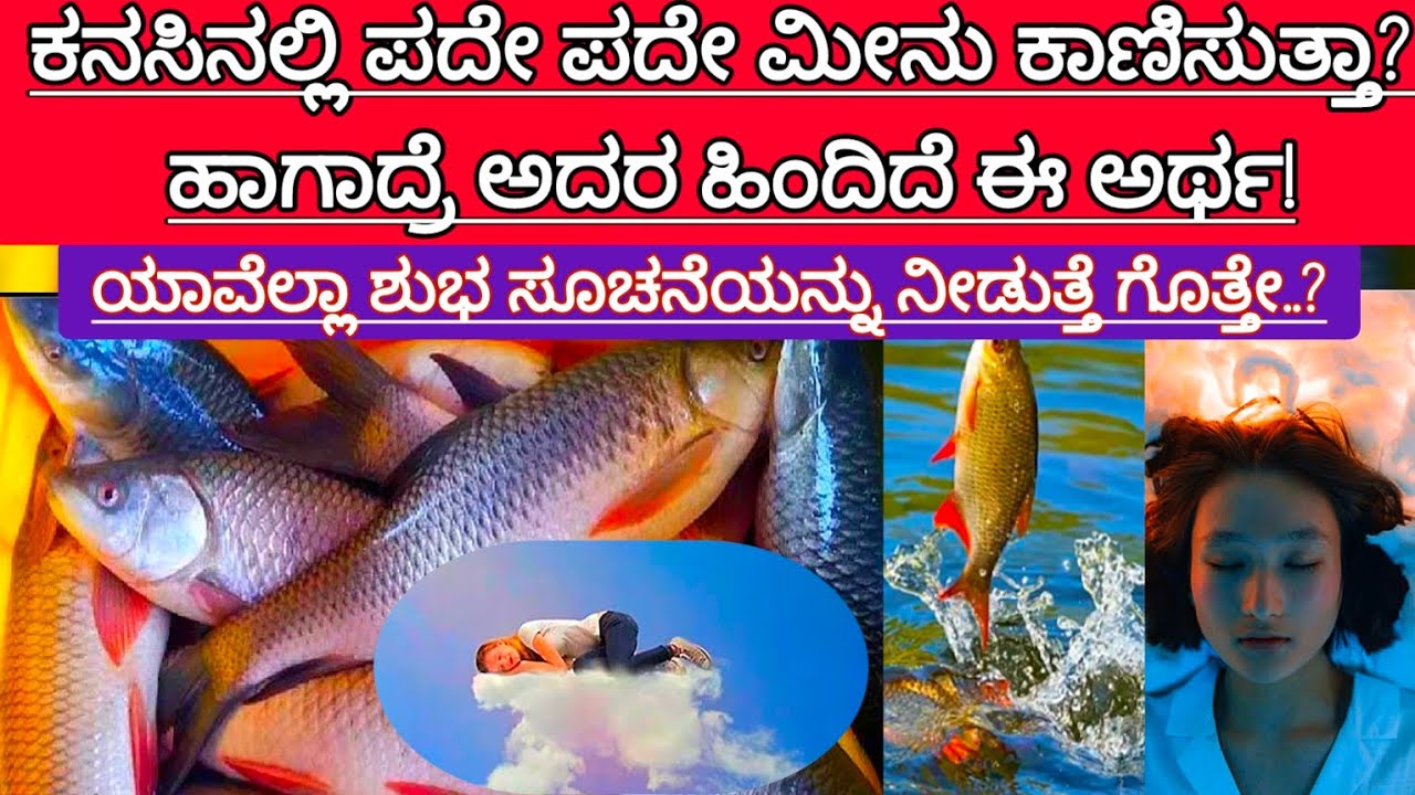 ಕನಸಿನಲ್ಲಿ ಮೀನು ಬಂದರೆ || Kanasinalli Meenu Kandare || Fish in Dreams Meaning || Minu Kandare