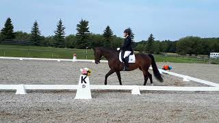 Ruffles 3rd Level Test 1, First place 67+%