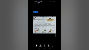 Class3, science,ch2,part2, European school by seetha