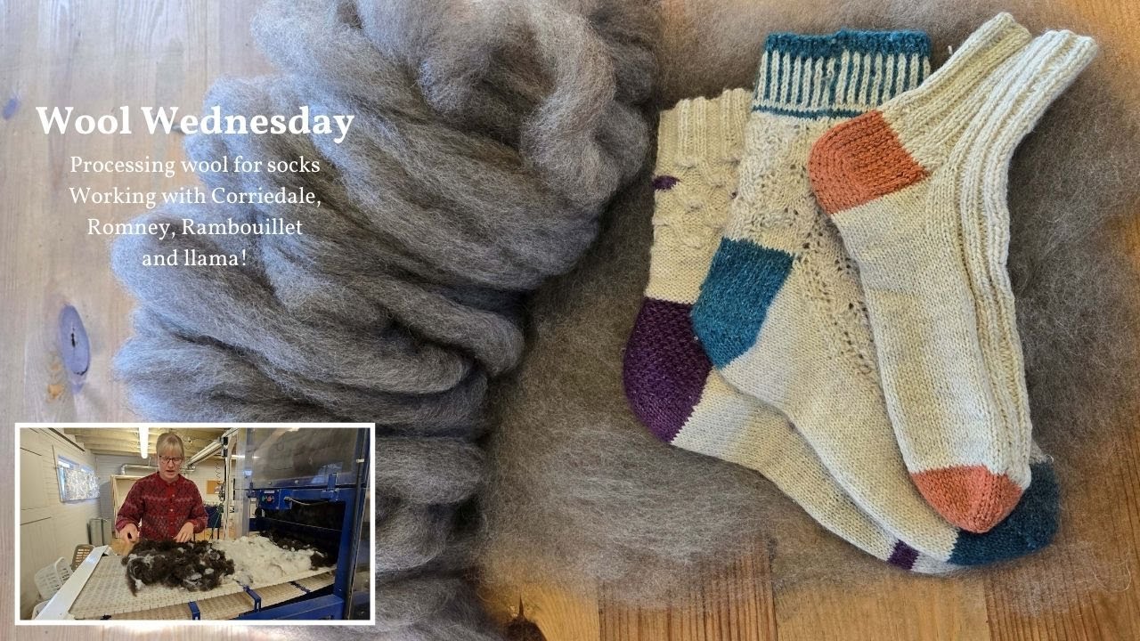 Processing wool for handspinning and sock knitting. Plus loads of wool carding at the mill.