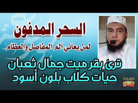 رقية السحر المدفون لمن يعاني ألم المفاصل والعظام ترى بقر ميت جمال ثعبان حيات كلاب بلون أسود رقية السحر المدفون لمن يعاني ألم المفاصل والعظام ترى بقر ميت جمال ثعبان حيات كلاب بلون أسود