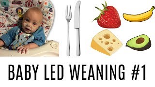 BABY LED WEANING #1: WHAT IT IS AND WHY IT'S GREAT