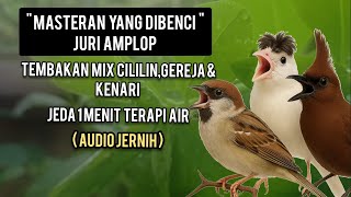 Suara Masteran Paling Dibenci Juri Amplop! | Mix Cililin, Gereja, Kenari + Terapi Air"