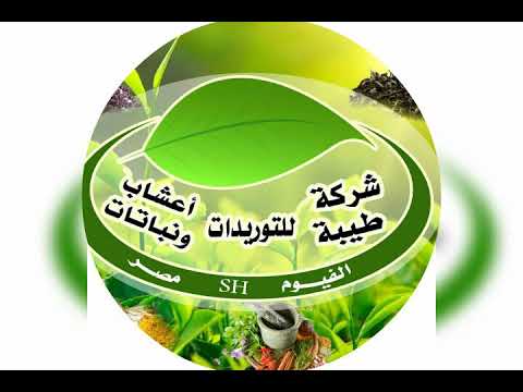 شركة طيبة للتوريدات العامة أعشاب ونباتات طبية وعطرية