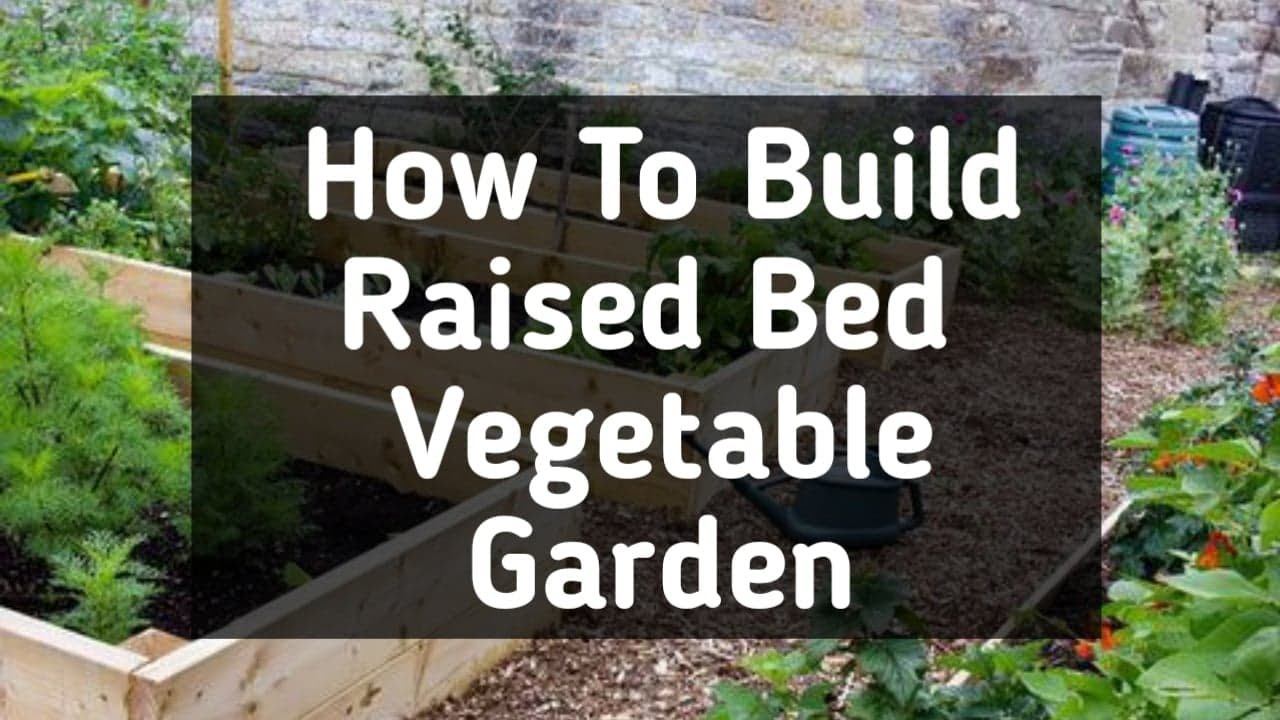 How To Build Raised Bed Vegetable Garden || Complete Step By Step Guide