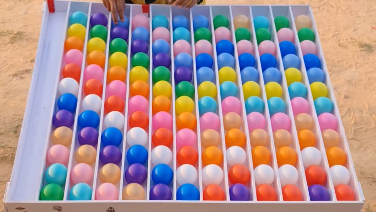 Level Up Your Mind: Sorting Puzzle - Evolutionary Edition