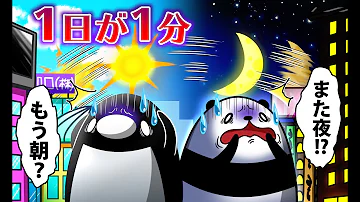 こうていペンギン