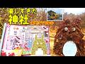 初めてでも安心…御朱印巡りに優しすぎる神社を巡ってみた(西武線)