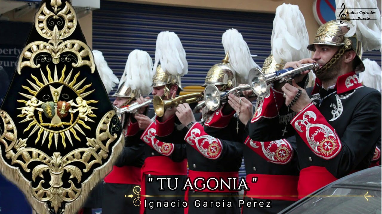 Tu Agonia - ESTRENO 2019 - BCT Despojado de Granada en Directo