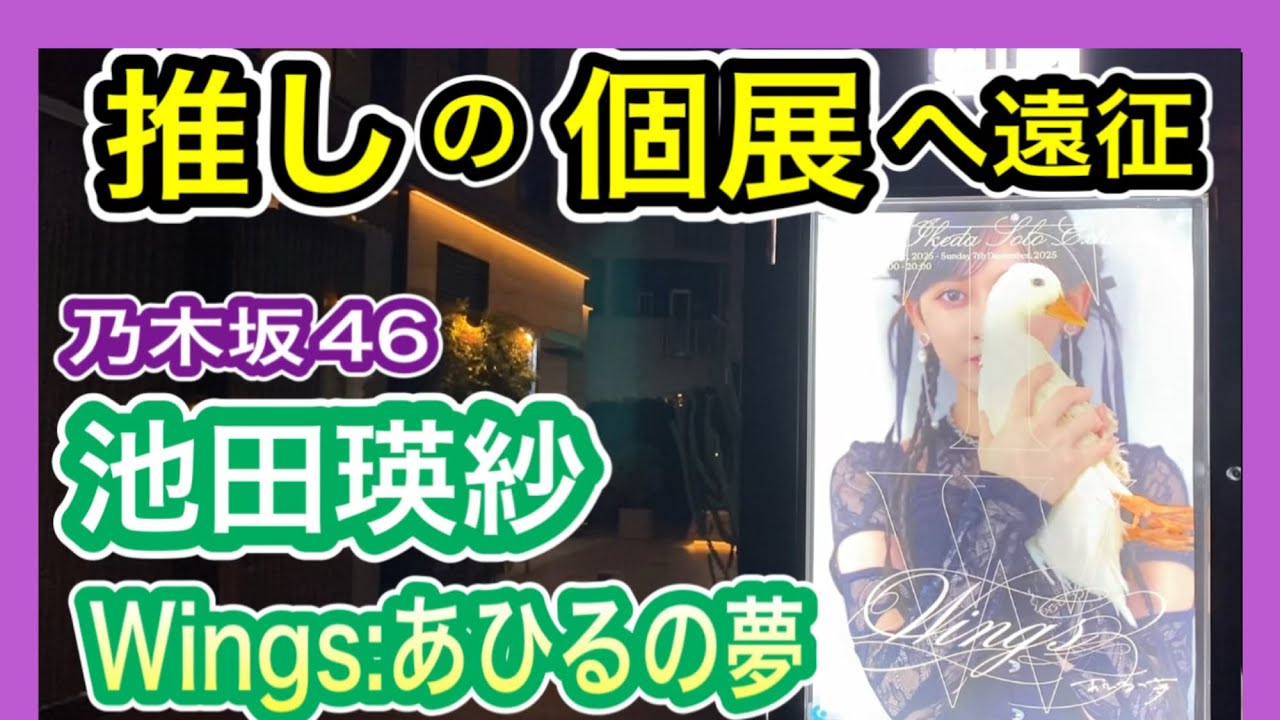 【乃木坂46】 池田瑛紗の初個展 “Wings:あひるの夢” 推し活遠征！ (いけだてれさ 現役アイドル 東京藝術大学在学中)  New Gallery  【テレサパンダ発見！】