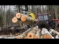 MTZ 952.3 tractor with Palms trailer..(HD)