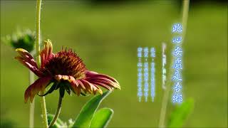 《此心安處是吾鄉 ☆ Home Is Where The Heart Is》（全專輯）1:06:43