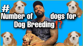 How many dogs should a Dog Breeder have!?