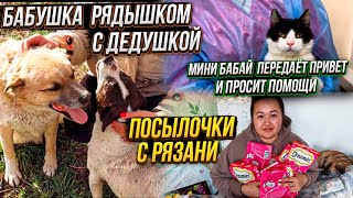 Мини Бабай передаёт  привет| Бублик оказался  Бублей🤣 |Люси прооперировали