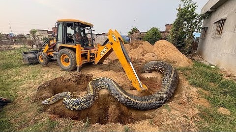 Jcb 3dx Backhoe Machine Mahindra Swaraj New Eicher Sonalika Tractor Over Loading