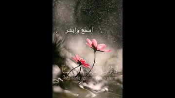 القرآن بصوت مريح ✨😌 ، تلاوة من سورة الملك 💙🎧 القارئ محمد الحميد