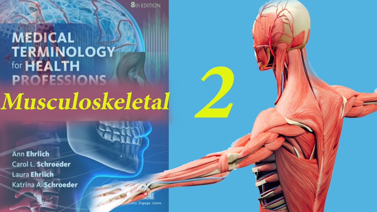 مصطلحات طبية Medical Terminology musculoskletal  system My Video
